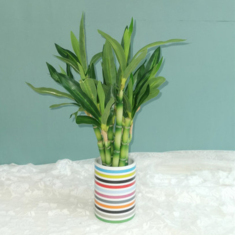 Nieuwe 40 cm rFtificial Lucky  - Outdoor Furniture Green recensie en prijs